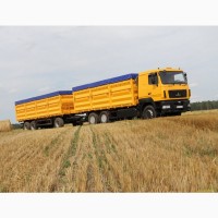 Купуємо Кукурудзу авто потяг порт Одеса Чорномоськ Ізмаїл клас 1-4