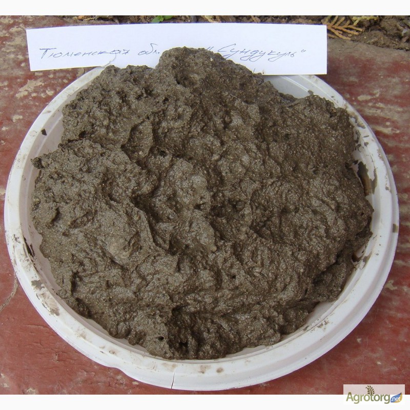Фото 7. Фермерское производство пастообразных удобрений из сапропеля
