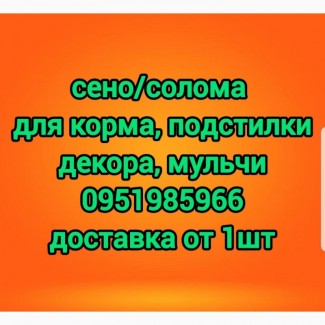 Продам сено в тюках. Доставка. Качество. Объёмы. Цена договорная