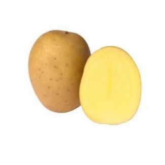 Насінна картопля(сорт Тайфун) по Україні (Роздріб, малий опт)