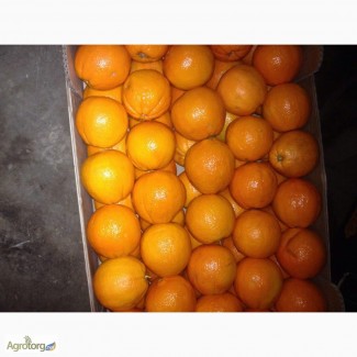 Продам апельсин, мандарин ГРЕЦИЯ