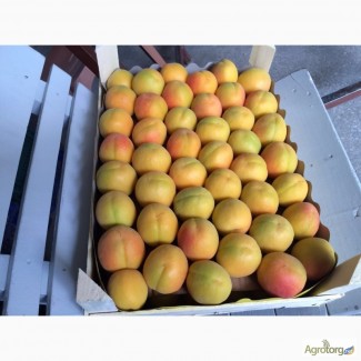 Продаем персик абрикос