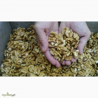 Срочно куплю - Бабочку светлую, св. пшеничную, 160-170 грн