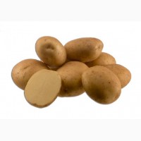 Товарный картофель от производителя оптом, всегда в наличии 7 сортов