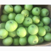 Продажа яблок: Гала, урожай 2018 г