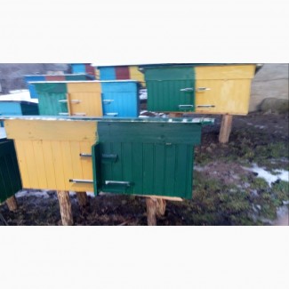 Продаж бджолопакeтів