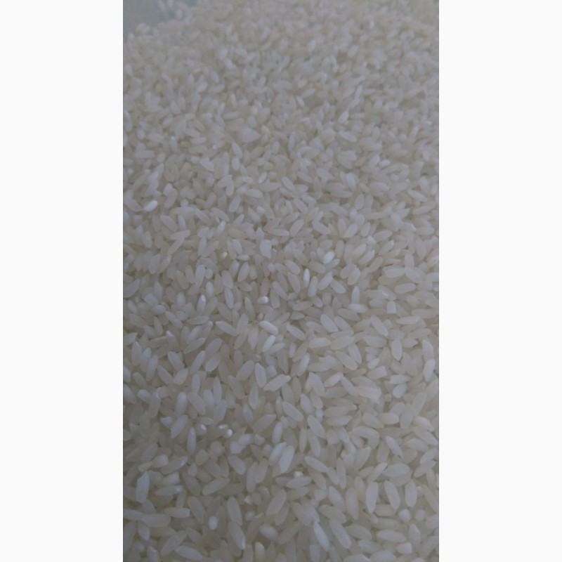 Фото 2. Продам імпортний рис