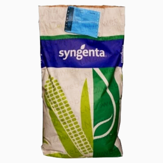 Гібриди насіння кукурудзи Syngenta (Енермакс, Феномен, Скорпіус, і ін)