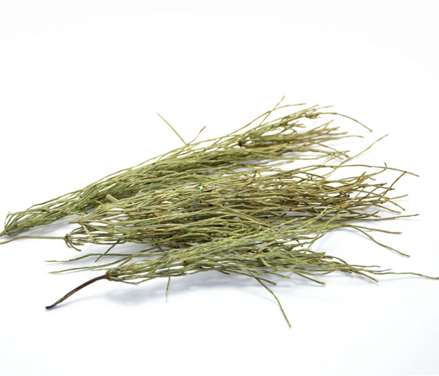 Хвощ полевой (трава) фасовка от 100 грамм - 1 кг