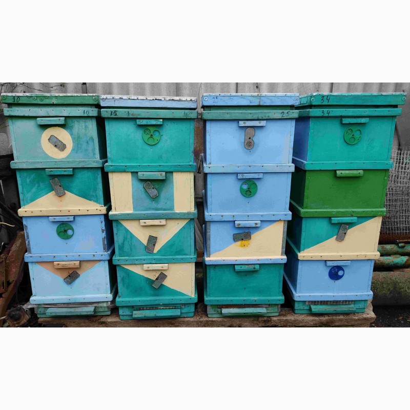 Фото 7. Причіп для кочівлі бджіл / прицеп для перевозки пчел