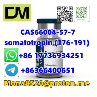 CAS66004-57-7 somatotropin (176-191) C78H123N23O22S2