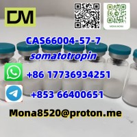 CAS66004-57-7 somatotropin (176-191) C78H123N23O22S2