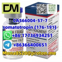 CAS66004-57-7 somatotropin (176-191) C78H123N23O22S2