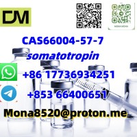 CAS66004-57-7 somatotropin (176-191) C78H123N23O22S2