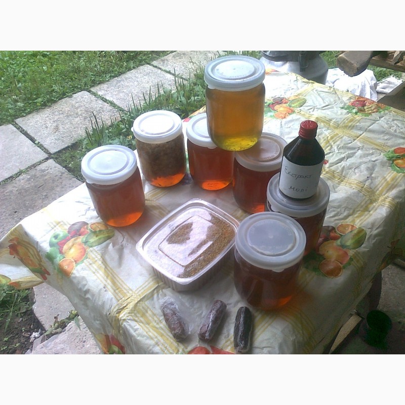 Фото 7. Мед, мёд, пилок, прополіс