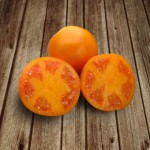 Семена оранжевого томата KS 18 F1 фирмы Китано