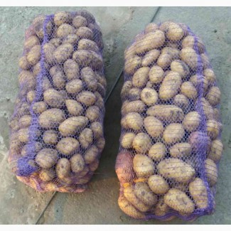 Фермерское хозяйство продает картофель оптом в большом объеме