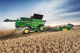 Кукуруза новый урожай 2020 года. Закупаем оптом