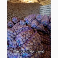 Продам товарный картофель оптом