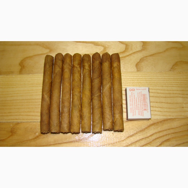 Фото 2. Сигары из кубинского табака