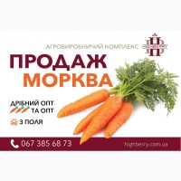 Продаємо свіжу моркву