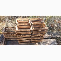 Продажа та виготовлення дерев#039;яних ящиків любих розмірів