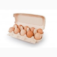 Яйця курячі купити в Дніпрі