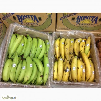 Овощной банан плантайн