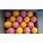 Продам египетские апельсины от производителя