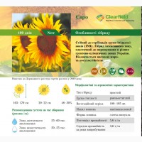 Насіння соняшника гібрид - ЄВРО (clearfield) 100-105 днів