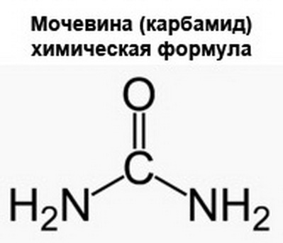 Фото 3. Азотное удобрение “Карбамид” N-46, 2% (Мочевина) ДнепрАзот