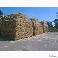 Продам сено из суданской травы в тюках