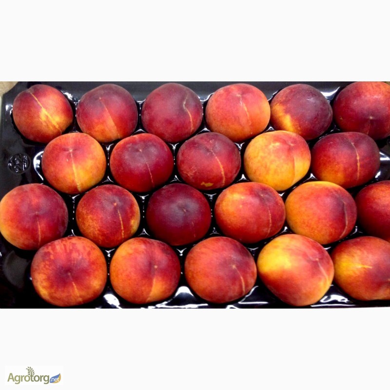 Фото 6. Продаем персики из Испании