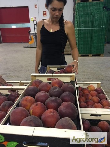 Фото 4. Продаем персики из Испании
