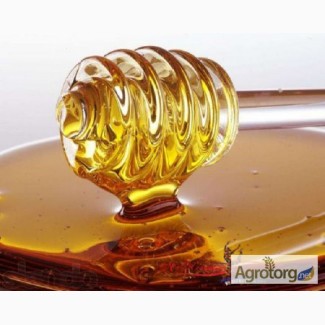 Покупаем мёд, на территории всей Украины, по высоким ценам