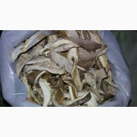 Продам гриби гливи - власне виробництво