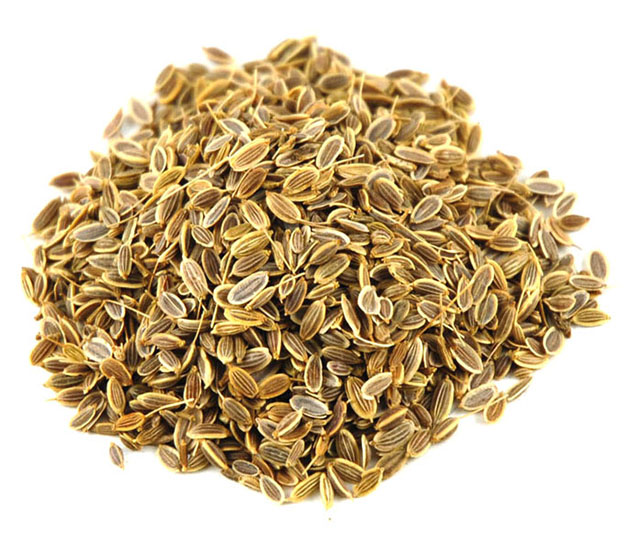 Укроп семена фасовка от 100 грамм - 1 кг