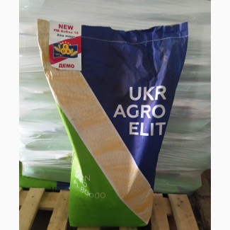 Продам семена кукурузы Кобза МВ15 ФАО-310, (фракция стандарт)