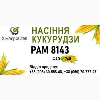 ТОВ ХімАгроСтеп пропонує насіння кукурудзи РАМ 8143 (ФАО 260)