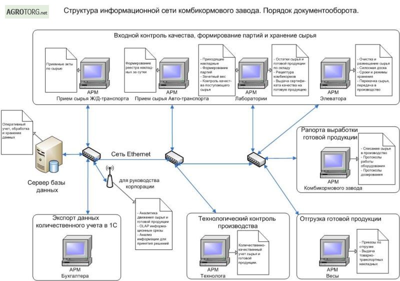 Лк информационные сети. Информационная сеть предприятия. Структура информационной сети. Требования к оборудованию информационных сетей. Информационные сети профессия.